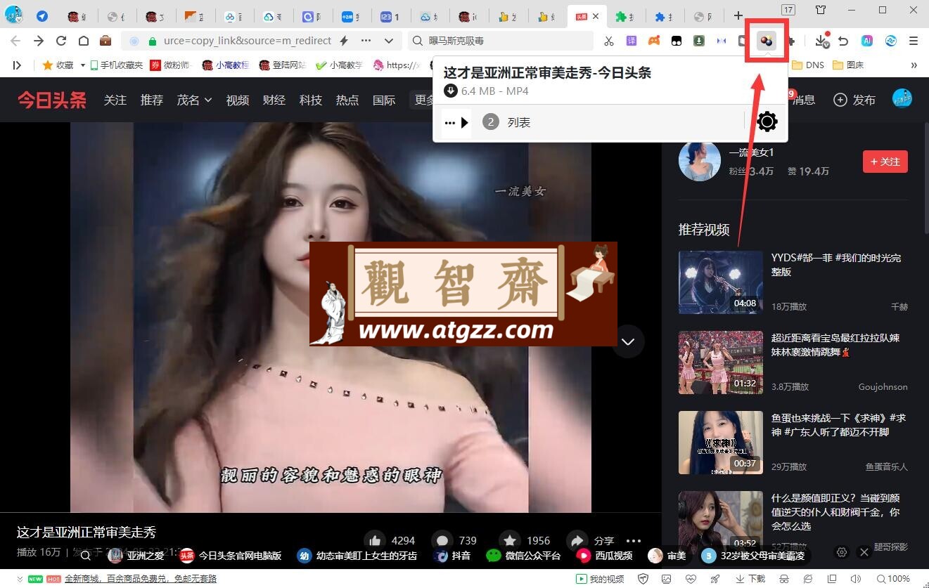 video downloadhelper v7.3.5.0 高级版网页视频下载神器 video downloadhelper v7.3.5.0 高级版网页视频下载神器