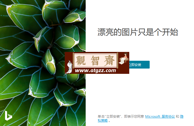 Bing Wallpaper v2.0.1.8中文版-观智斋电商课程站
