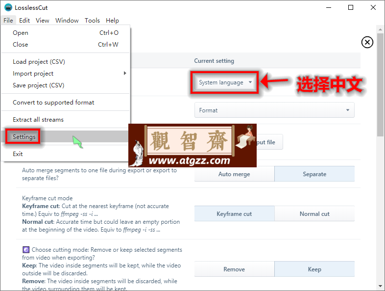 LosslessCut无损剪辑v3.60绿色版-观智斋电商课程站