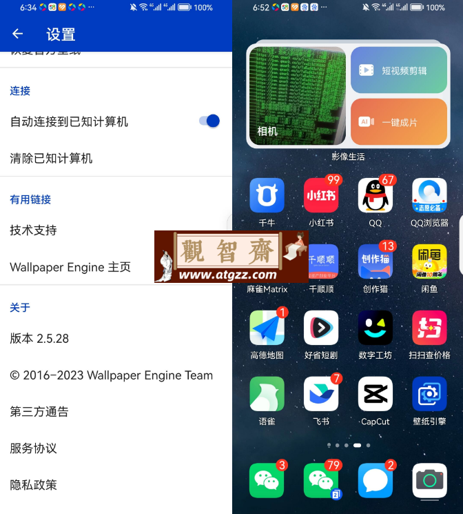 Wallpaper Engine v2.5.26 动态壁纸软件-观智斋电商课程站