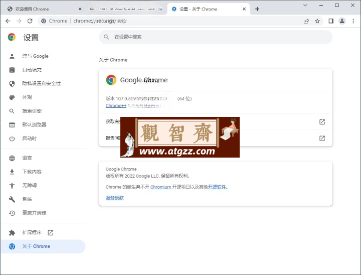 Google Chrome 谷歌浏览器v134.0.6998.118增强版-观智斋电商课程站