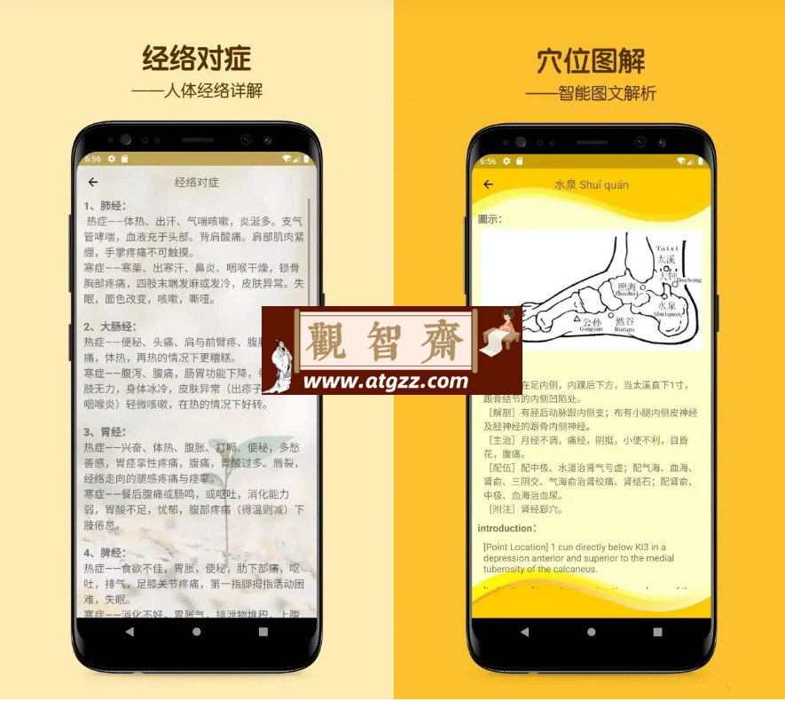 人体穴位图解v3.1.3 人体经络去广告版-观智斋电商课程站