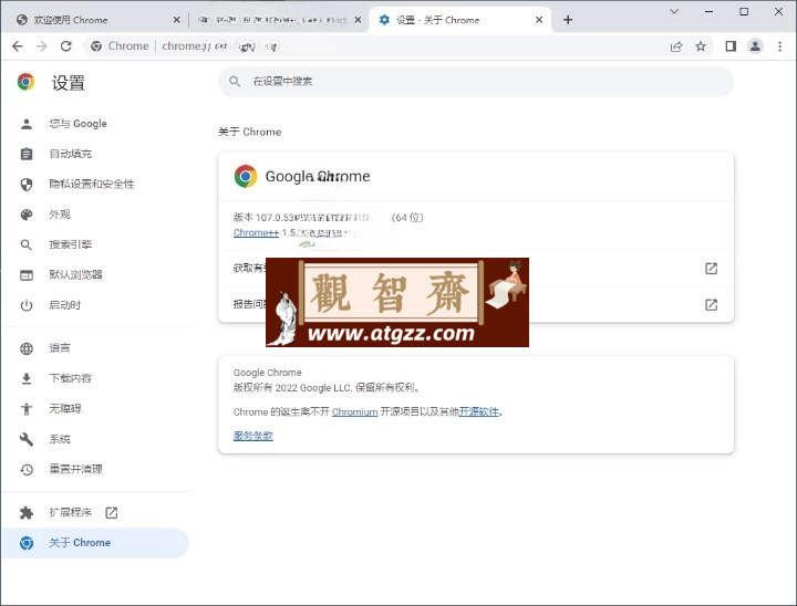 Google Chrome 谷歌浏览器v132.0.6834.111增强版-观智斋电商课程站