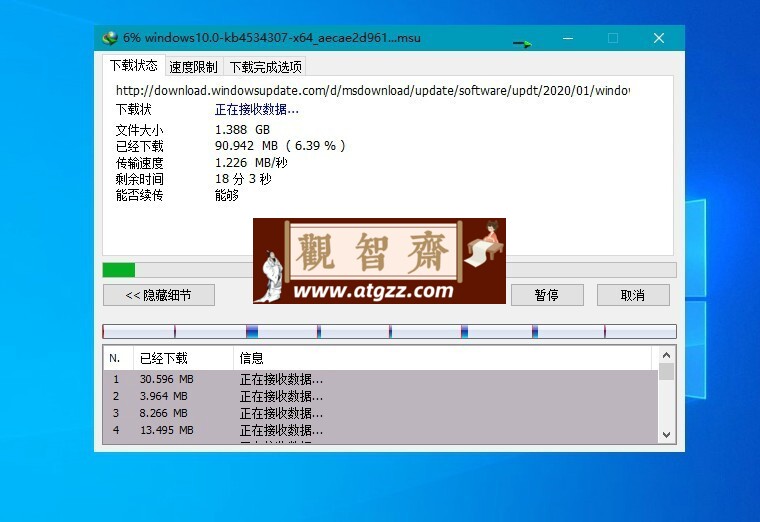 下载利器 IDM v6.42.11 绿色版
