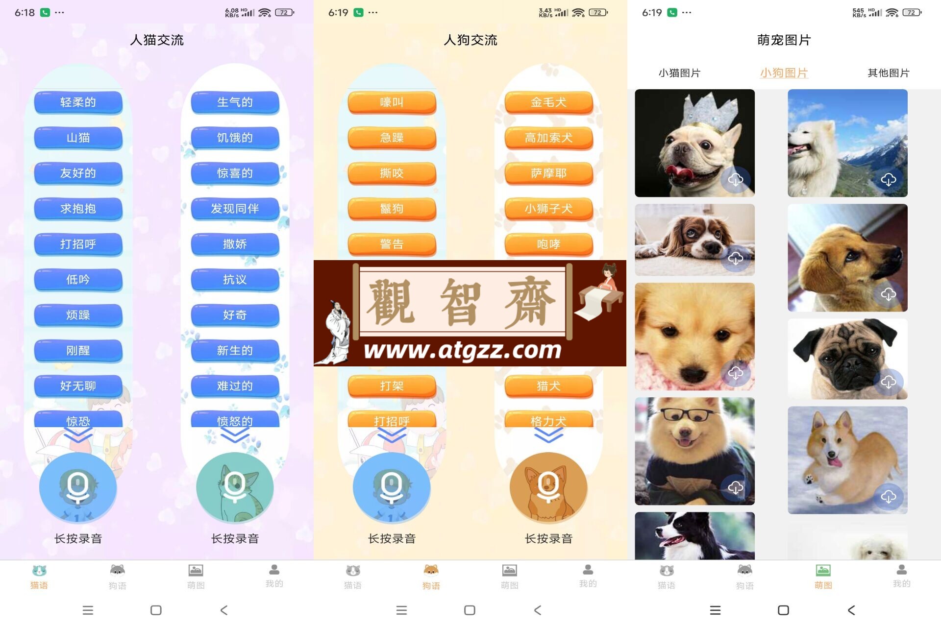 宠物翻译v1.0 逗猫逗狗超好玩-观智斋电商课程站