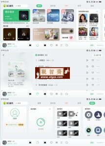 QQ音乐车机版v2.6.1.1纯净版-观智斋电商课程站