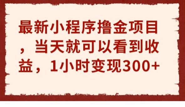 最新小程序撸金项目，当天就可以看到收益，1小时变现300+【揭秘】-观智斋电商课程站