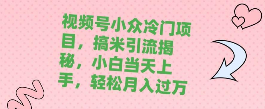 视频号小众冷门项目，搞米引流揭秘，小白当天上手，轻松月入过万-观智斋电商课程站