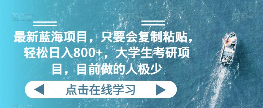 最新蓝海项目，只要会复制粘贴，轻松日入800+，大学生考研项目，目前做的人极少-观智斋电商课程站