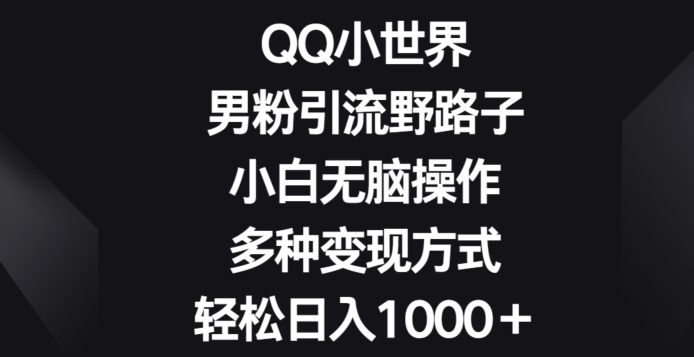 QQ小世界男粉引流野路子，小白无脑操作，多种变现方式轻松日入1000+-观智斋电商课程站
