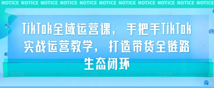 TikTok全域运营课，手把手TikTok实战运营教学，打造带货全链路生态闭环-观智斋电商课程站