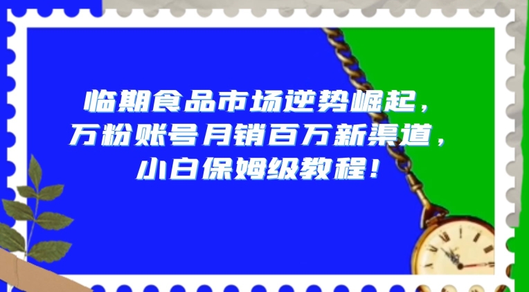 临期食品市场逆势崛起，万粉账号月销百万新渠道，小白保姆级教程【揭秘】-观智斋电商课程站