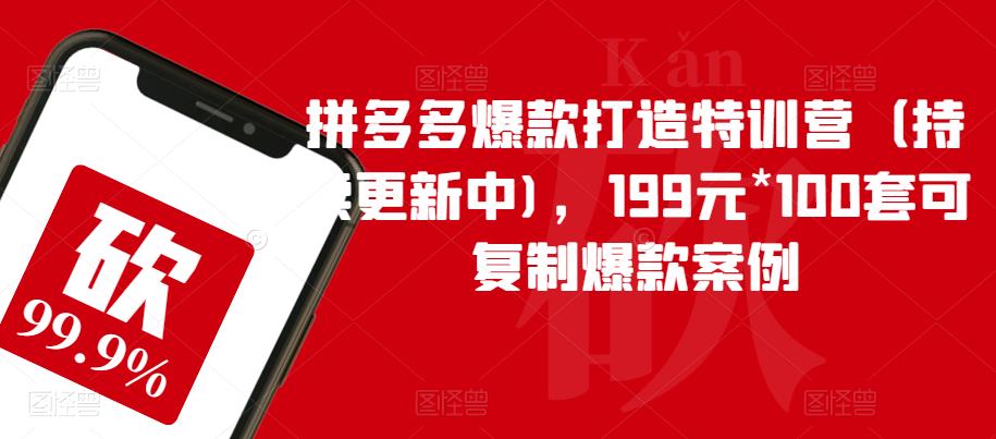 拼多多爆款打造特训营（持续更新中)，199元*100套可复制爆款案例-观智斋电商课程站