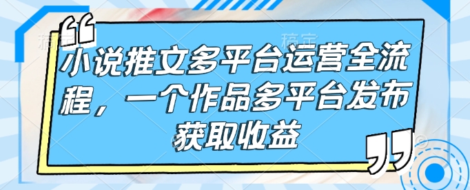 小说推文多平台运营全流程，一个作品多平台发布获取收益-观智斋电商课程站
