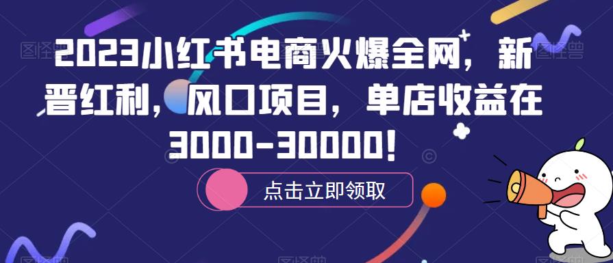 2023小红书电商火爆全网，新晋红利，风口项目，单店收益在3000-30000！-观智斋电商课程站