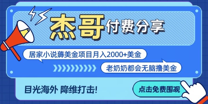 拆解海外撸美金项目月入2000美刀详细指导-观智斋电商课程站