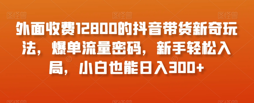 外面收费12800的抖音带货新奇玩法，爆单流量密码，新手轻松入局，小白也能日入300+【揭秘】-观智斋电商课程站
