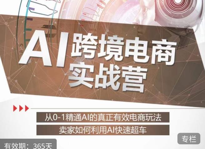 白龙老师·AI跨境电商实战营：从0-1精通Al的真正有效电商玩法，卖家如何利用Al快速超车-观智斋电商课程站