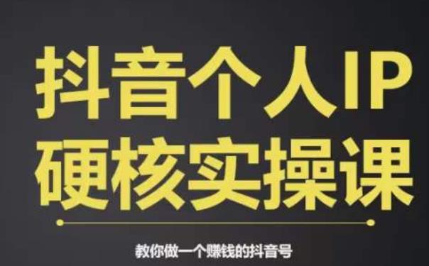 个人IP创富系统实战课，商业定位，流量打造，短视频变现，教你做个赚钱的抖音号-观智斋电商课程站