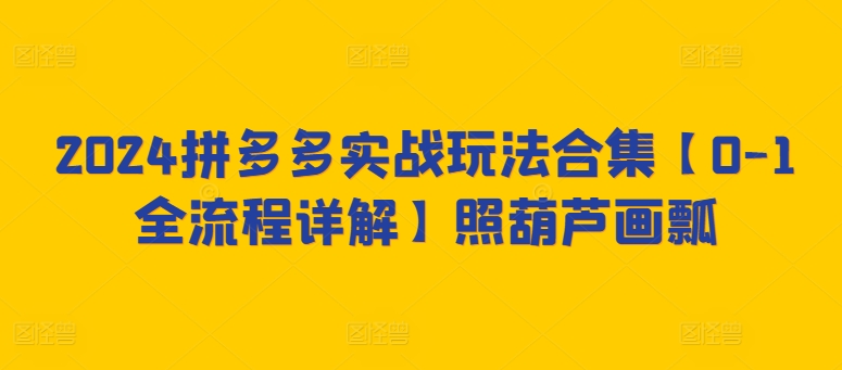 2024拼多多实战玩法合集【0-1全流程详解】照葫芦画瓢-观智斋电商课程站