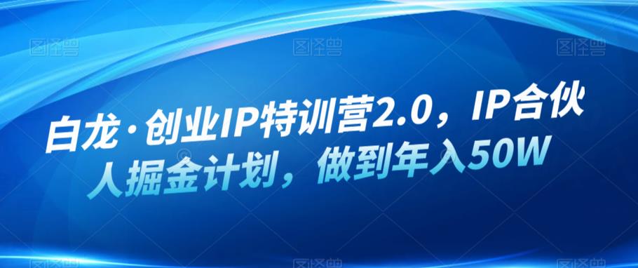 白龙·创业IP特训营2.0，IP合伙人掘金计划，做到年入50W-观智斋电商课程站