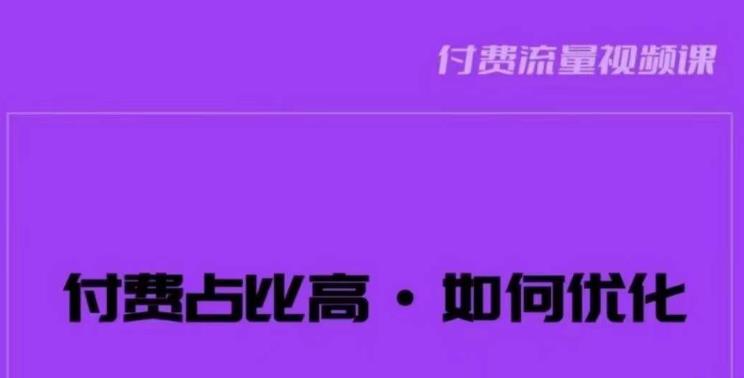 波波-付费占比高，如何优化？只讲方法，不说废话，高效解决问题！-观智斋电商课程站