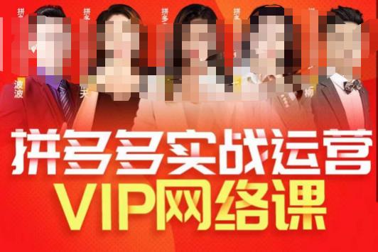 推易拼多多VIP全套直播课程，拼多多店铺实操玩法+实战玩法选款内功+直通车高阶等-观智斋电商课程站