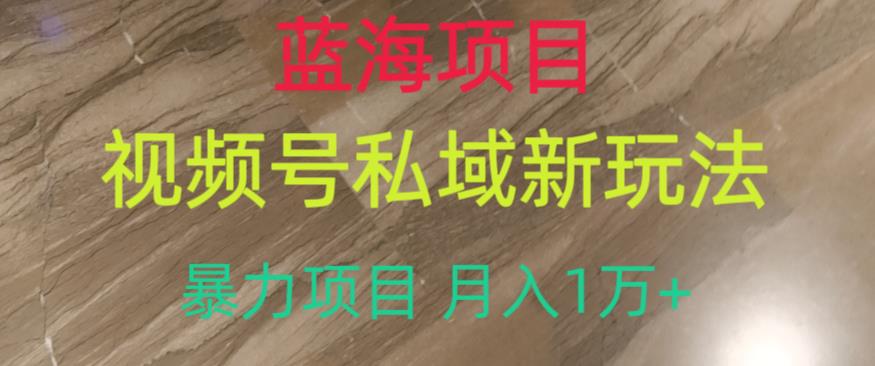 蓝海项目，视频号私域新玩法，暴力项目月入1万+【揭秘】-观智斋电商课程站