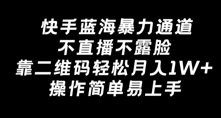快手蓝海暴力通道，不直播不露脸，靠二维码轻松月入1W+，操作简单易上手-观智斋电商课程站