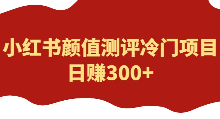 外面1980的项目，小红书颜值测评冷门项目，日赚300+【揭秘】-观智斋电商课程站