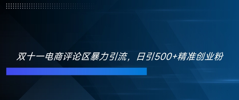 双十一电商评论区暴力引流，日引500+精准创业粉【揭秘】-观智斋电商课程站