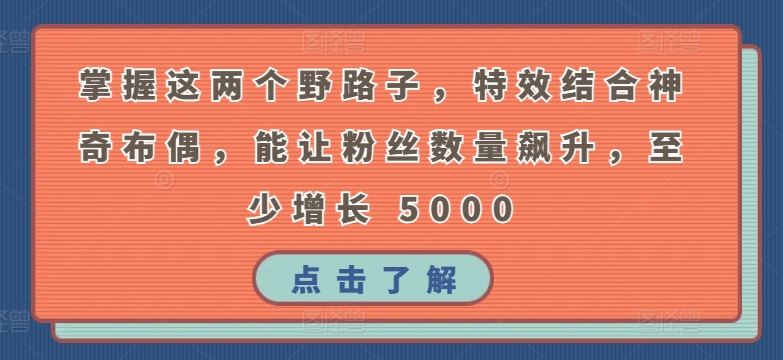 掌握这两个野路子，特效结合神奇布偶，能让粉丝数量飙升，至少增长 5000【揭秘】-观智斋电商课程站