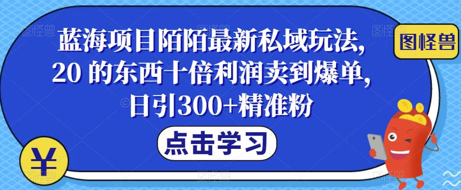 蓝海项目陌陌最新私域玩法，20 的东西十倍利润卖到爆单，日引300+精准粉【揭秘】-观智斋电商课程站