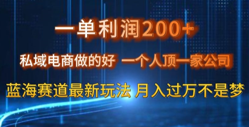 一单利润200私域电商做的好，一个人顶一家公司蓝海赛道最新玩法【揭秘】-观智斋电商课程站
