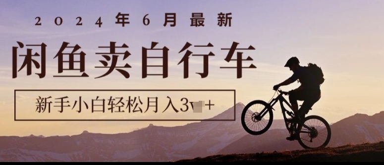 2024年6月最新闲鱼卖自行车，新手小白轻松月入1w+，无风险项目-观智斋电商课程站