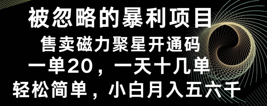 被忽略的暴利项目！售卖磁力聚星开通码，一单20，一天十几单，轻松月入五六千-观智斋电商课程站