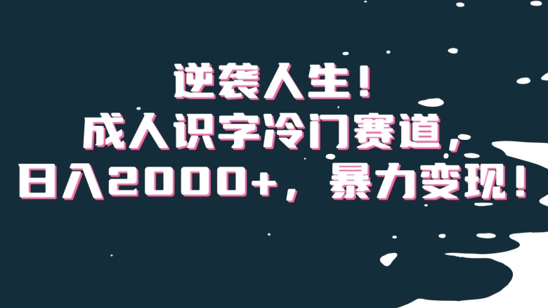 逆袭人生！成人识字冷门赛道，日入2000+，暴力变现！【揭秘】-观智斋电商课程站