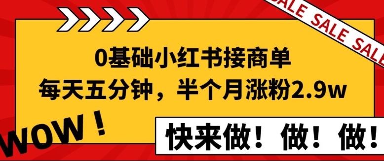 0基础小红书接商单，每天五分钟，15天涨粉2.9w新手攻略-观智斋电商课程站