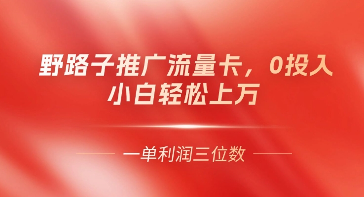 野路子推广流量卡，一单利润上百，0投入，小白轻松上万-观智斋电商课程站