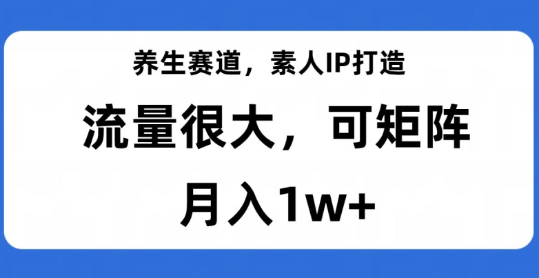 养生赛道，素人IP打造，流量很大，可矩阵，月入1w+【揭秘】-观智斋电商课程站