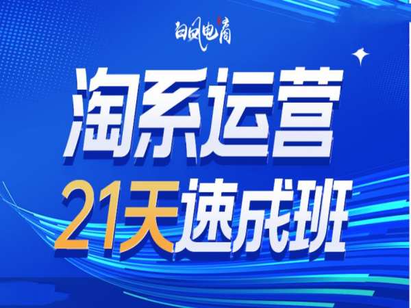 淘系运营21天速成班35期，年前最后一波和2025方向-观智斋电商课程站