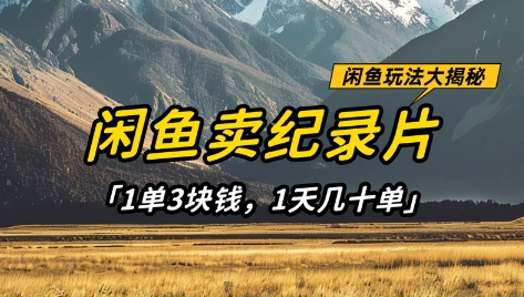 闲鱼卖纪录片1单3块钱，1天几十单，项目稳定有潜力-观智斋电商课程站