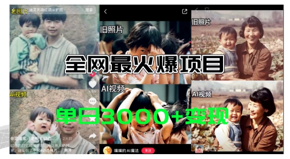 全网爆火的AI让老照片动起来教程，蹭热点日赚3k+，内含免费工具一键可生成【揭秘】-观智斋电商课程站