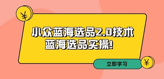 拼多多培训第33期：小众蓝海选品2.0技术-蓝海选品实操！-观智斋电商课程站