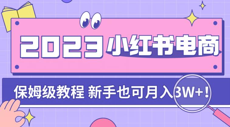 阿本小红书电商陪跑营4.0，带大家从0到1把小红书做起来-观智斋电商课程站