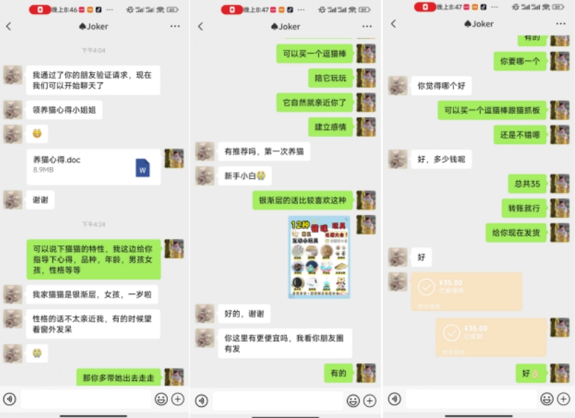 鸿铭网创88计第50计:2024小红书萌宠赛道私域玩法变现教学,月入2w+【上】