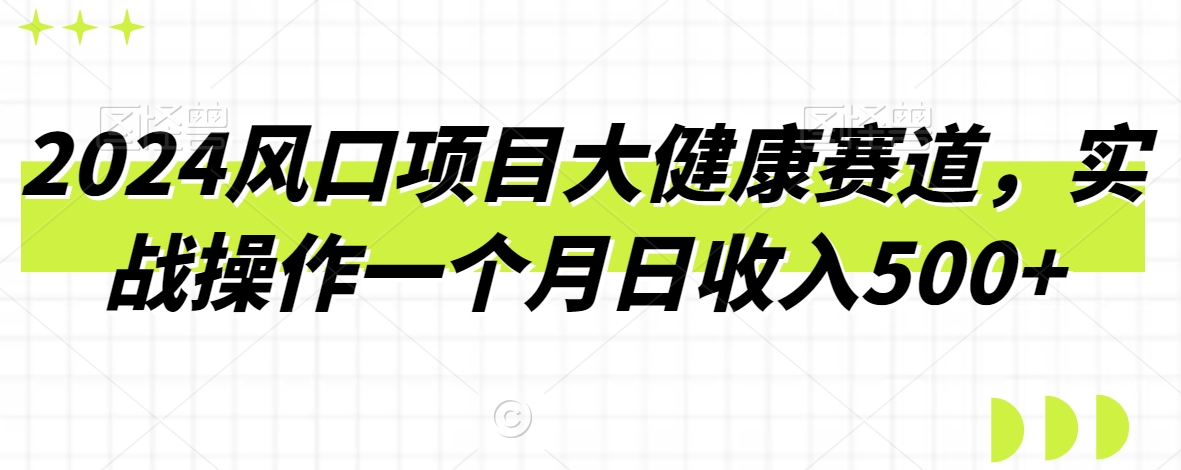 2024风口项目大健康赛道，实战操作一个月日收入500+-观智斋电商课程站