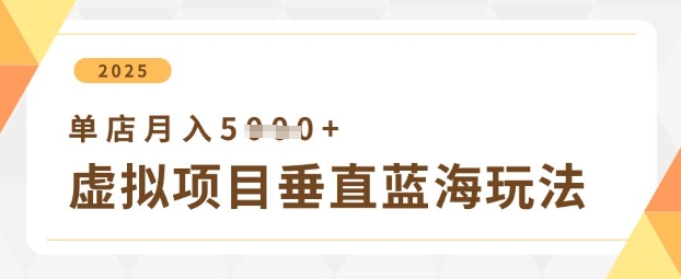 虚拟项目垂直玩法，实现单店月入5k+-观智斋电商课程站