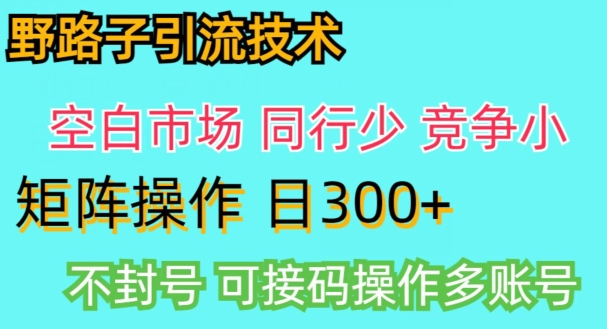 拼多多野路子引流创业粉实战教学，手动操作，用户转化率高-观智斋电商课程站