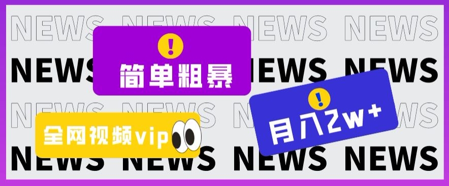 简单粗暴零成本，高回报，全网视频VIP掘金项目，月入2万＋【揭秘】-观智斋电商课程站